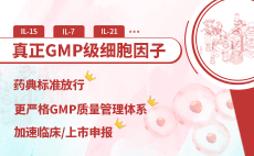 GMP級別細胞因子